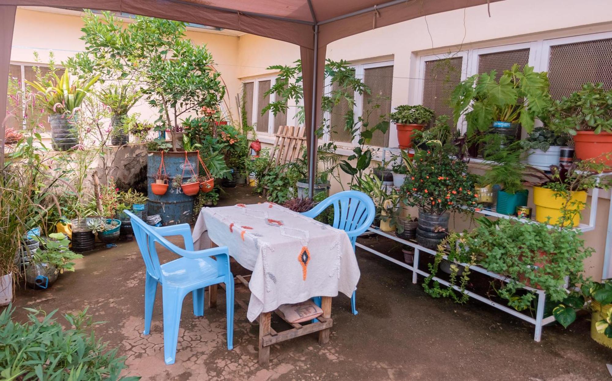 Faraja Homestay- Seamless Comfort In The Heart Of The City - Free Wifi, Warm Hospitality, And Local Delights Await 모시 외부 사진